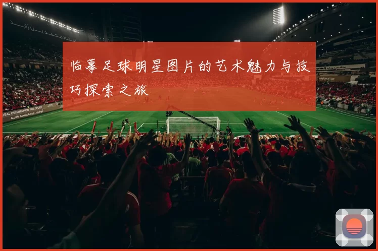 临摹足球明星图片的艺术魅力与技巧探索之旅