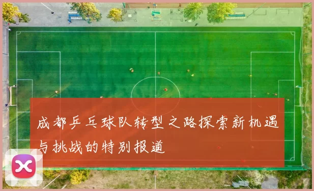成都乒乓球队转型之路探索新机遇与挑战的特别报道