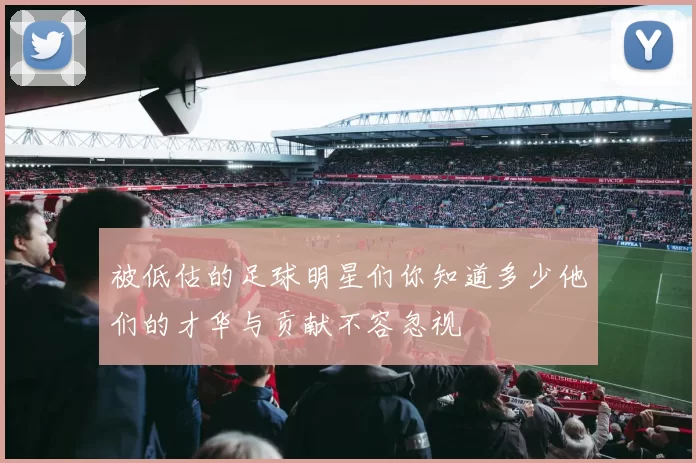 被低估的足球明星们你知道多少他们的才华与贡献不容忽视