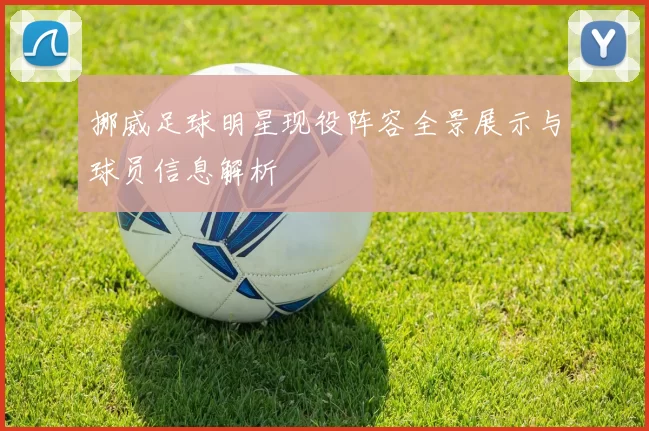 挪威足球明星现役阵容全景展示与球员信息解析