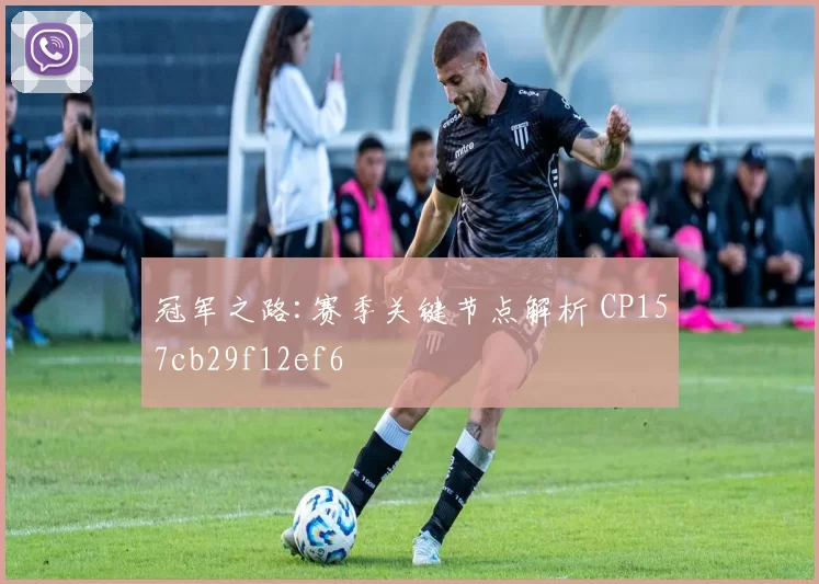 冠军之路:赛季关键节点解析 CP157cb29f12ef6