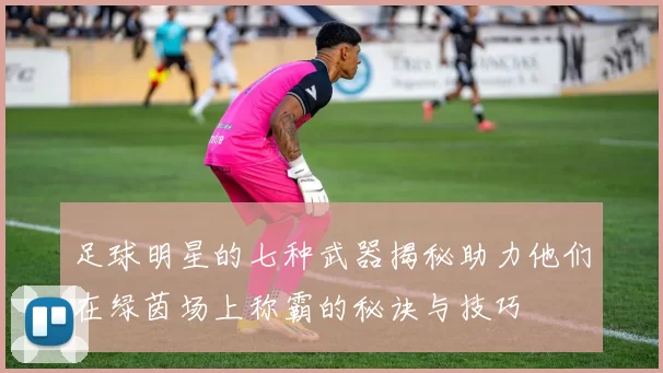 足球明星的七种武器揭秘助力他们在绿茵场上称霸的秘诀与技巧