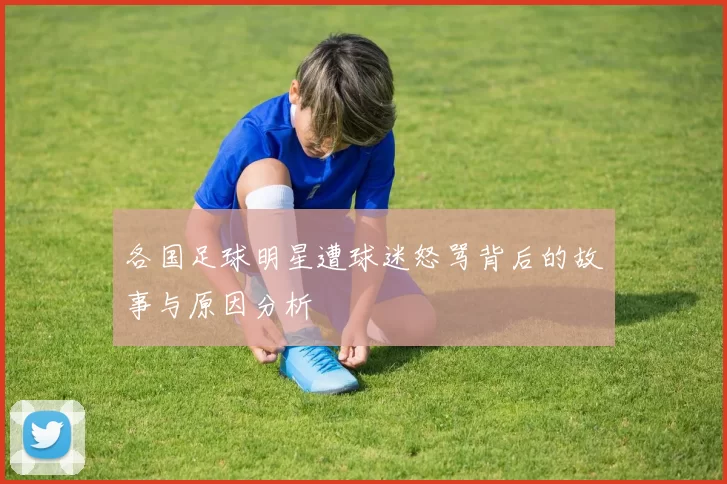 各国足球明星遭球迷怒骂背后的故事与原因分析