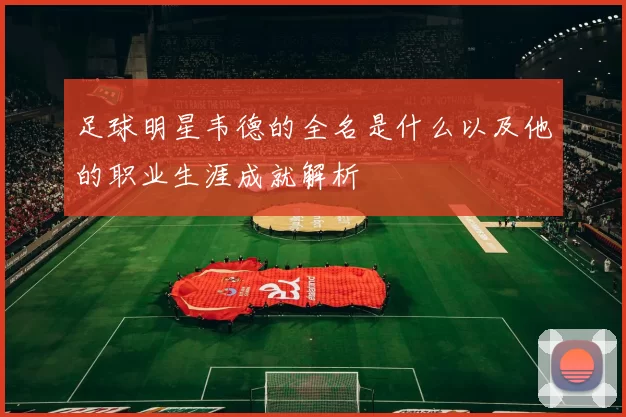 足球明星韦德的全名是什么以及他的职业生涯成就解析