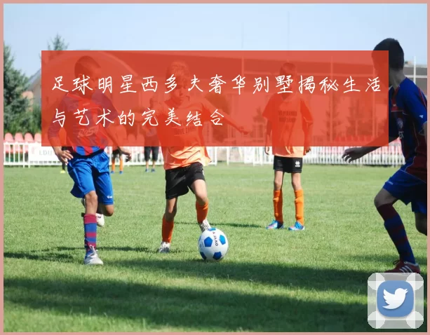足球明星西多夫奢华别墅揭秘生活与艺术的完美结合