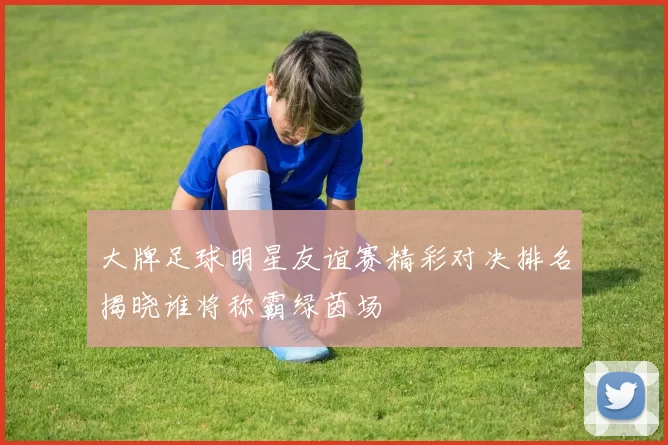 大牌足球明星友谊赛精彩对决排名揭晓谁将称霸绿茵场