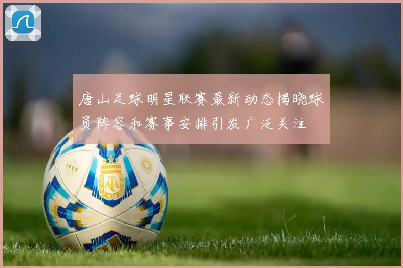 唐山足球明星联赛最新动态揭晓球员阵容和赛事安排引发广泛关注