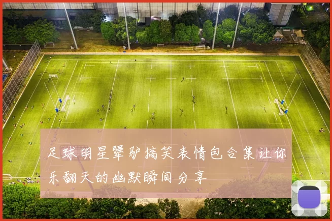 足球明星犟驴搞笑表情包合集让你乐翻天的幽默瞬间分享