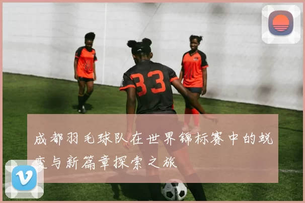 成都羽毛球队在世界锦标赛中的蜕变与新篇章探索之旅