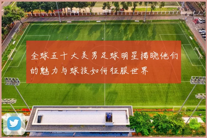 全球五十大美男足球明星揭晓他们的魅力与球技如何征服世界