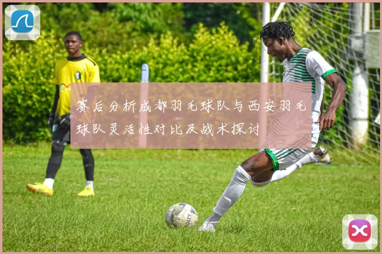 赛后分析成都羽毛球队与西安羽毛球队灵活性对比及战术探讨